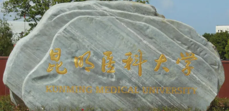 昆明医科大学.png